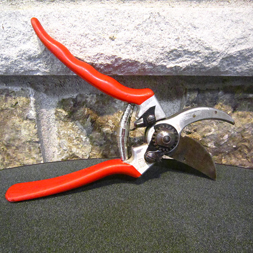 Felco Pruning Shears