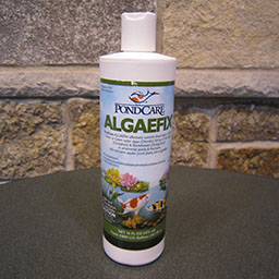 AlgaeFix