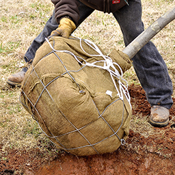 Tree Planting Supplies